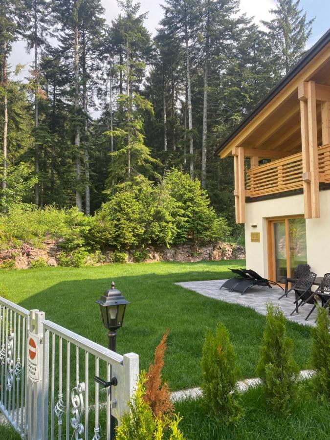 Chalet Relax Molveno Villa Exteriör bild